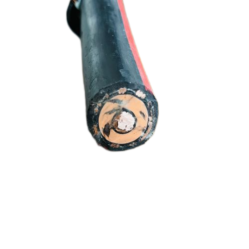 ɳ��������(�й�)�ٷ���վ -APP����