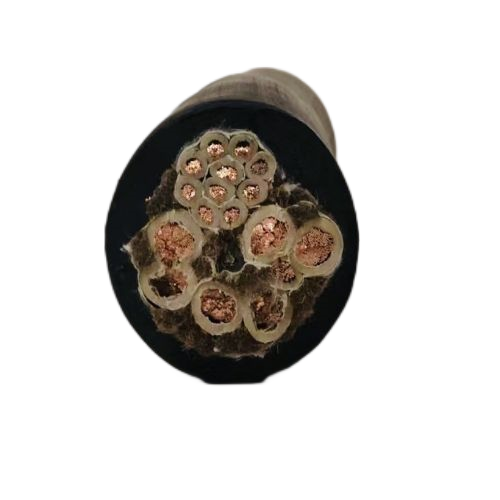 ɳ��������(�й�)�ٷ���վ -APP����