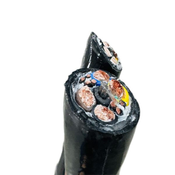 ɳ��������(�й�)�ٷ���վ -APP����