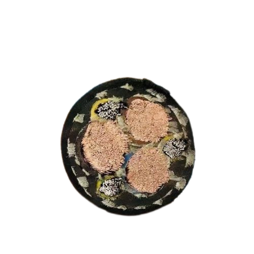 ɳ��������(�й�)�ٷ���վ -APP����