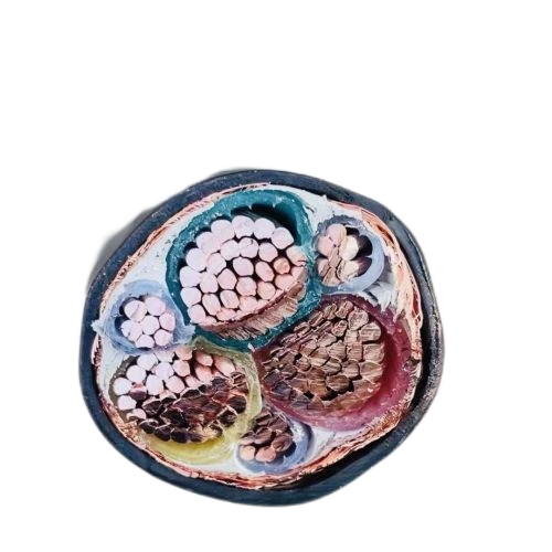 ɳ��������(�й�)�ٷ���վ -APP����