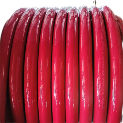 ɳ��������(�й�)�ٷ���վ -APP����