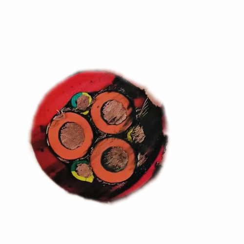 ɳ��������(�й�)�ٷ���վ -APP����