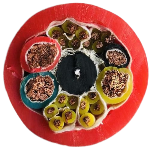 ɳ��������(�й�)�ٷ���վ -APP����