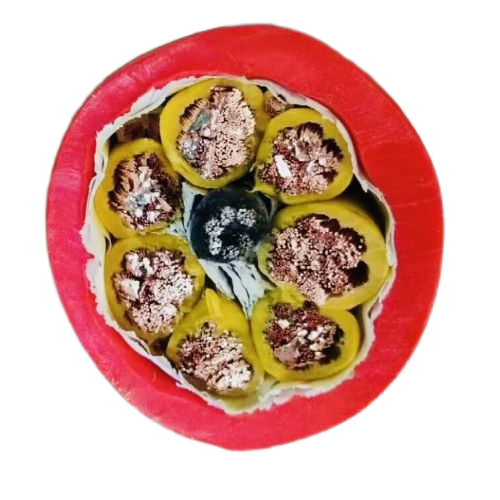 ɳ��������(�й�)�ٷ���վ -APP����