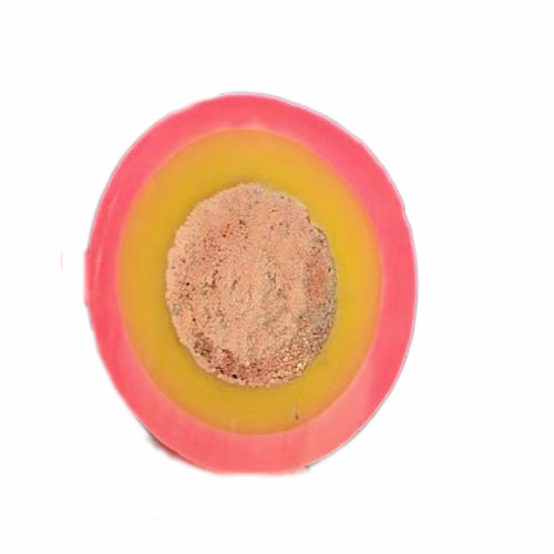 ɳ��������(�й�)�ٷ���վ -APP����