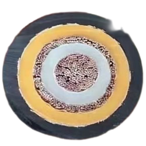 ɳ��������(�й�)�ٷ���վ -APP����