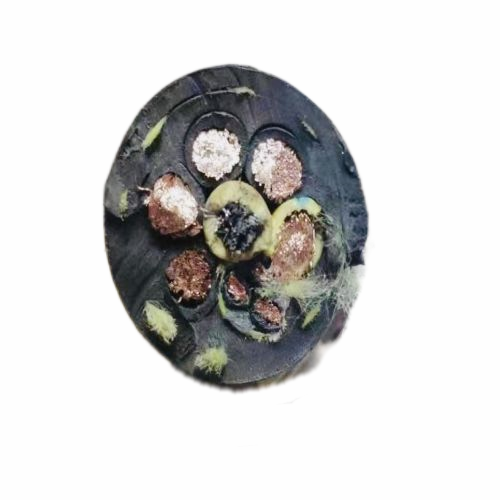 ɳ��������(�й�)�ٷ���վ -APP����