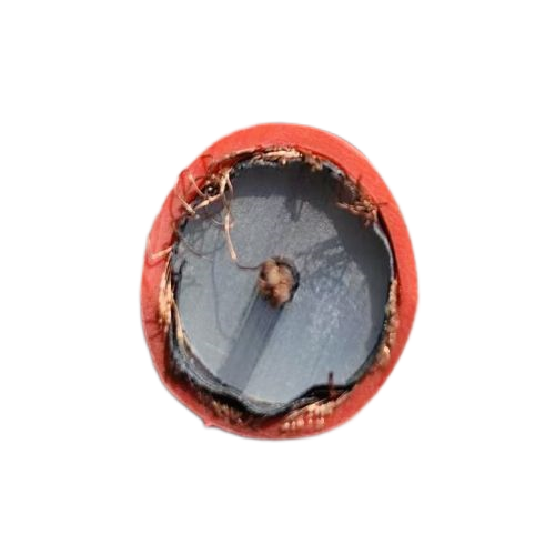 ɳ��������(�й�)�ٷ���վ -APP����