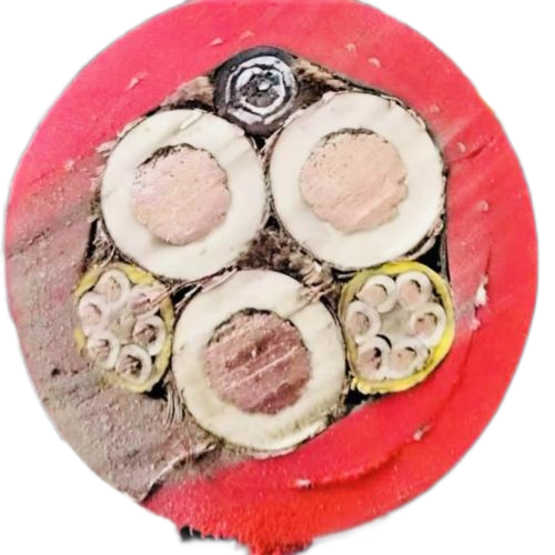 ɳ��������(�й�)�ٷ���վ -APP����