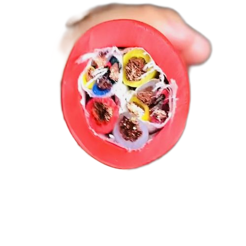 ɳ��������(�й�)�ٷ���վ -APP����