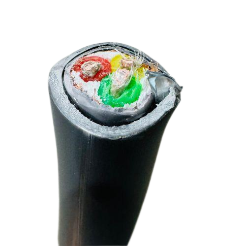 ɳ��������(�й�)�ٷ���վ -APP����