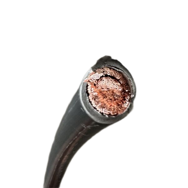 ɳ��������(�й�)�ٷ���վ -APP����