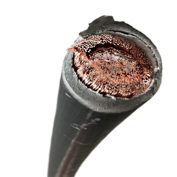 ɳ��������(�й�)�ٷ���վ -APP����