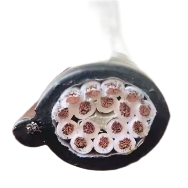 ɳ��������(�й�)�ٷ���վ -APP����