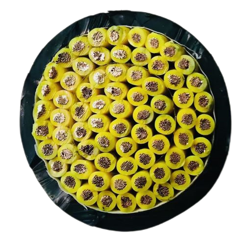 ɳ��������(�й�)�ٷ���վ -APP����