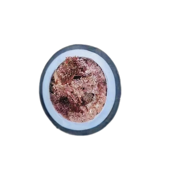 ɳ��������(�й�)�ٷ���վ -APP����