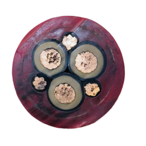 ɳ��������(�й�)�ٷ���վ -APP����