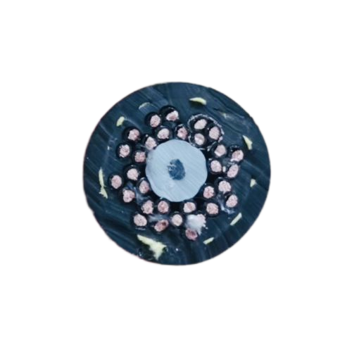 ɳ��������(�й�)�ٷ���վ -APP����