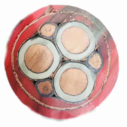 ɳ��������(�й�)�ٷ���վ -APP����