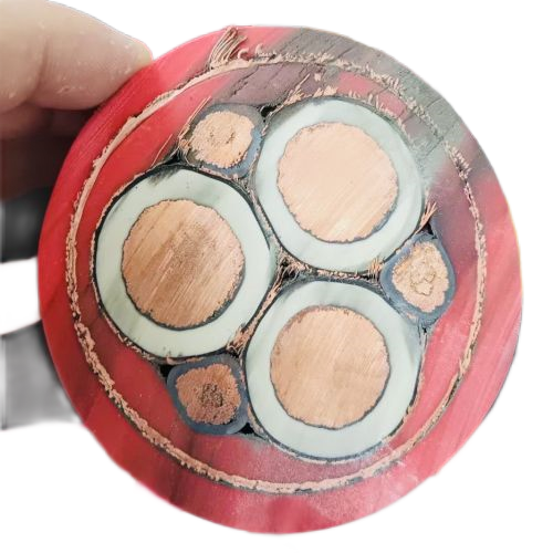 ɳ��������(�й�)�ٷ���վ -APP����