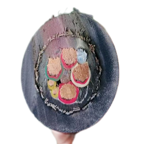 ɳ��������(�й�)�ٷ���վ -APP����