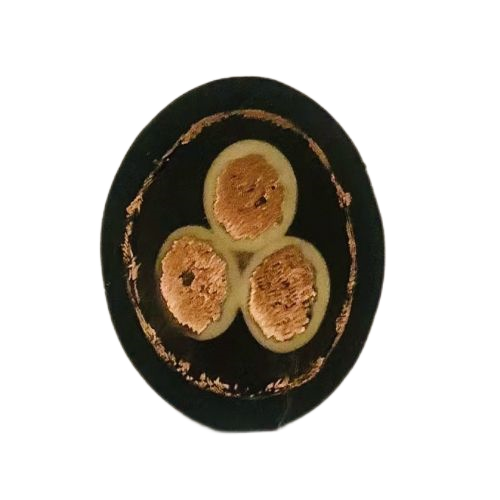 ɳ��������(�й�)�ٷ���վ -APP����