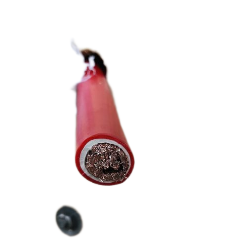 ɳ��������(�й�)�ٷ���վ -APP����